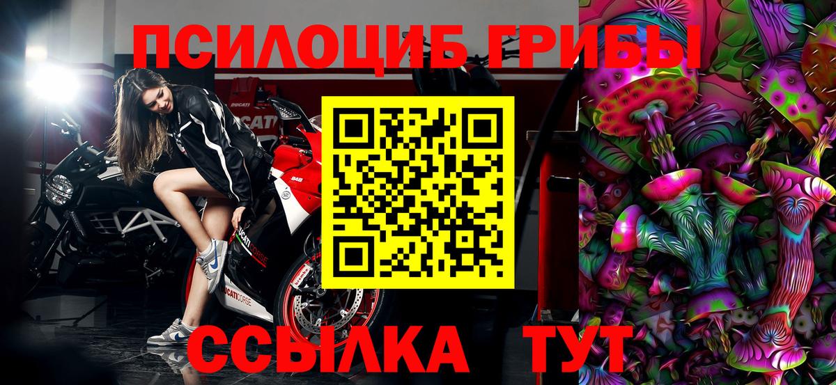 Псилоцибиновые грибы прущие грибы Бутурлиновка